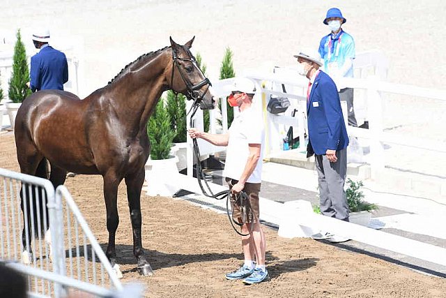 OLY-2020-DRESSAGE-JOG-7-24-21-0748-105-THEURER V MAX-ABEGGLEN NRW-AUT-DDEROSAPHOTO