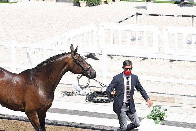 OLY-2020-DRESSAGE-JOG-7-24-21-0767-108-ALEXA FAIRCHILD-DABANOS D'04-BEL-DDEROSAPHOTO