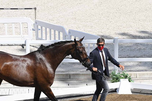 OLY-2020-DRESSAGE-JOG-7-24-21-0768-108-ALEXA FAIRCHILD-DABANOS D'04-BEL-DDEROSAPHOTO