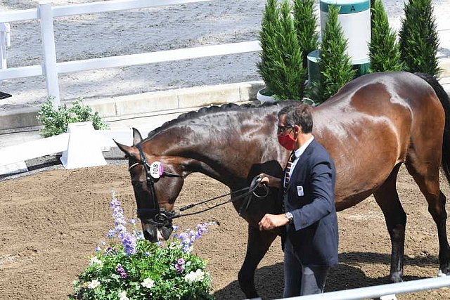 OLY-2020-DRESSAGE-JOG-7-24-21-0769-108-ALEXA FAIRCHILD-DABANOS D'04-BEL-DDEROSAPHOTO