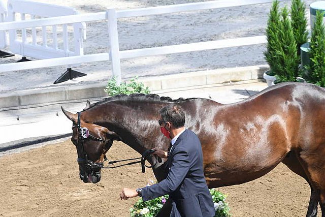 OLY-2020-DRESSAGE-JOG-7-24-21-0770-108-ALEXA FAIRCHILD-DABANOS D'04-BEL-DDEROSAPHOTO