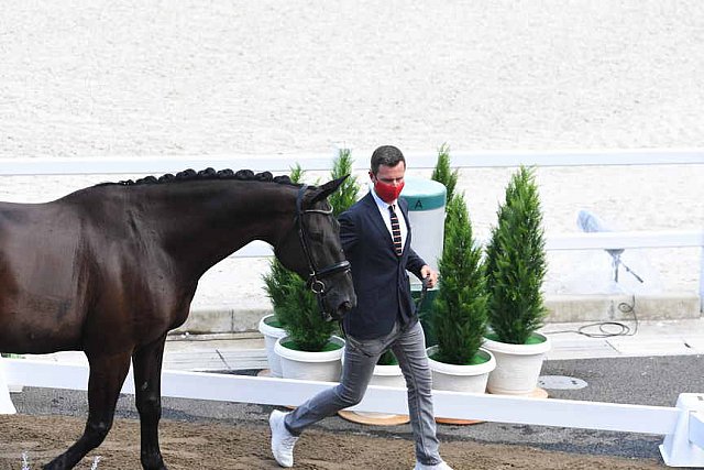OLY-2020-DRESSAGE-JOG-7-24-21-0775-109-DOMIEN MICHIELS-INTERMEZZO VAN HET MEERDA-BEL-DDEROSAPHOTO