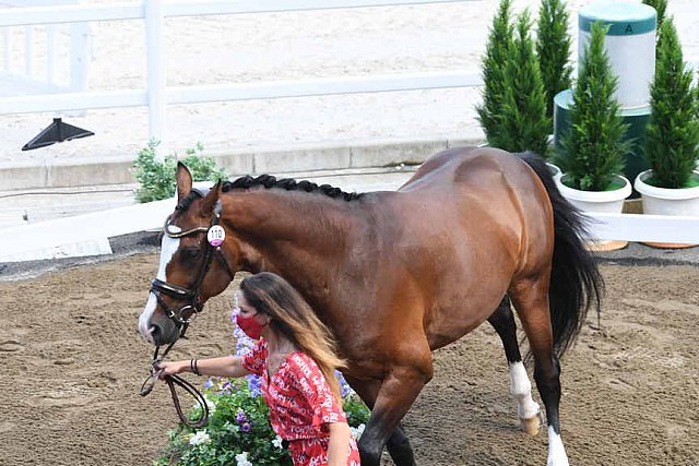 OLY-2020-DRESSAGE-JOG-7-24-21-0782-110-LARISSA PAULUIS-FLAMBEAU-BEL-DDEROSAPHOTO