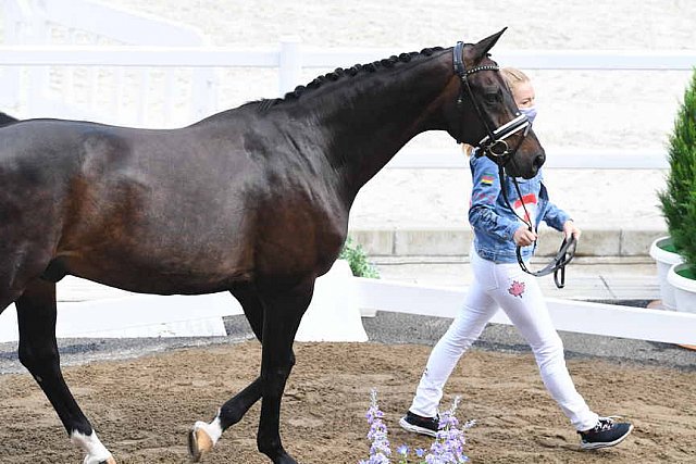 OLY-2020-DRESSAGE-JOG-7-24-21-0816-114-LINDSAY KELLOCK-SEBASTIEN-CAN-DDEROSAPHOTO