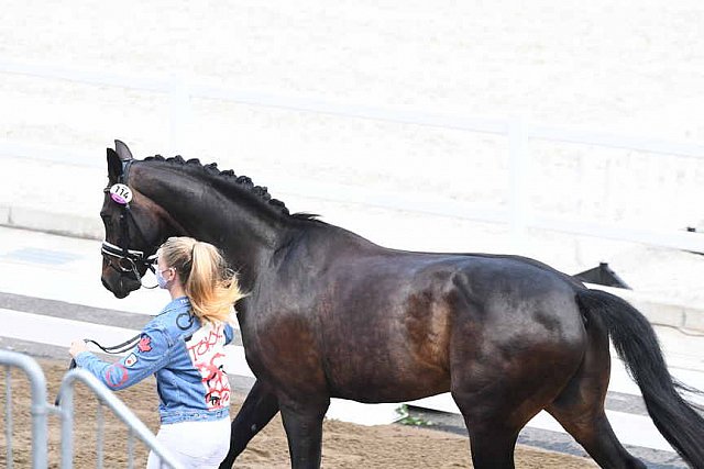 OLY-2020-DRESSAGE-JOG-7-24-21-0818-114-LINDSAY KELLOCK-SEBASTIEN-CAN-DDEROSAPHOTO