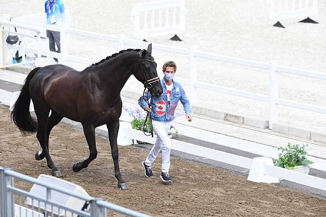 OLY-2020-DRESSAGE-JOG-7-24-21-0830-116-CHRIS VON MARTELS-ECLIPS-CAN-DDEROSAPHOTO