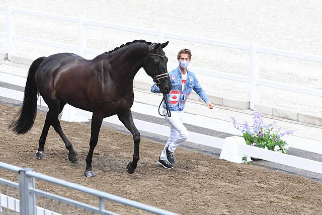 OLY-2020-DRESSAGE-JOG-7-24-21-0832-116-CHRIS VON MARTELS-ECLIPS-CAN-DDEROSAPHOTO