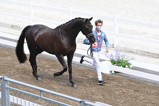 OLY-2020-DRESSAGE-JOG-7-24-21-0833-116-CHRIS VON MARTELS-ECLIPS-CAN-DDEROSAPHOTO