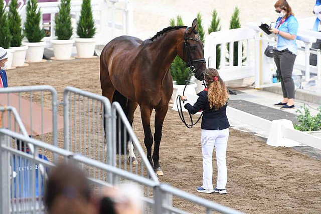 OLY-2020-DRESSAGE-JOG-7-24-21-0839-117-VIRGINIA YARUR-RONALDO-CHI-DDEROSAPHOTO