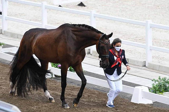 OLY-2020-DRESSAGE-JOG-7-24-21-0841-117-VIRGINIA YARUR-RONALDO-CHI-DDEROSAPHOTO