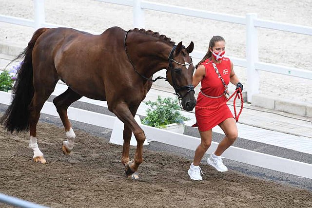 OLY-2020-DRESSAGE-JOG-7-24-21-0850118-CATHRINE DUFOUR-BOHEMIAN-DEN-DDEROSAPHOTO