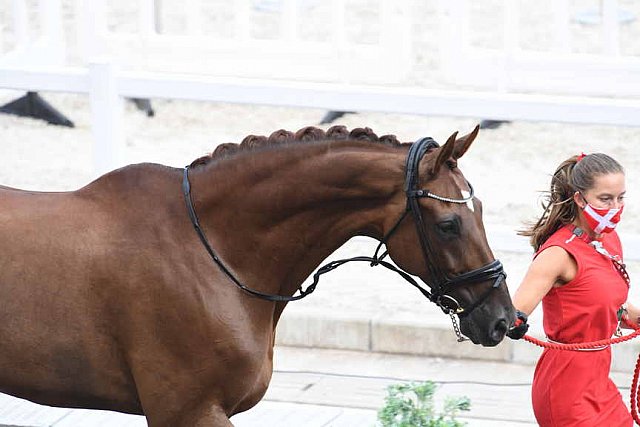 OLY-2020-DRESSAGE-JOG-7-24-21-0852118-CATHRINE DUFOUR-BOHEMIAN-DEN-DDEROSAPHOTO