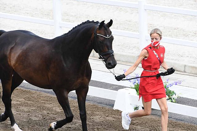 OLY-2020-DRESSAGE-JOG-7-24-21-0859-119-CHARLOTTE-HEERING-BUFRANCO-DEN-DDEROSAPHOTO