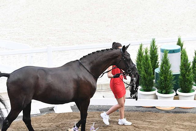 OLY-2020-DRESSAGE-JOG-7-24-21-0869-120-CC KRUTH-HELINE'S DANCERA-DEN-DDEROSAPHOTO