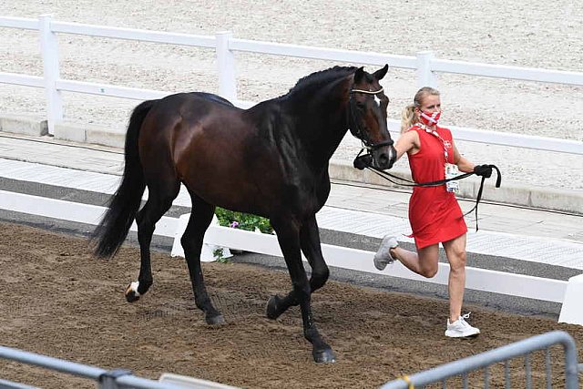 OLY-2020-DRESSAGE-JOG-7-24-21-0875-121-NS MERRALD-ZACK-DEN-DDEROSAPHOTO