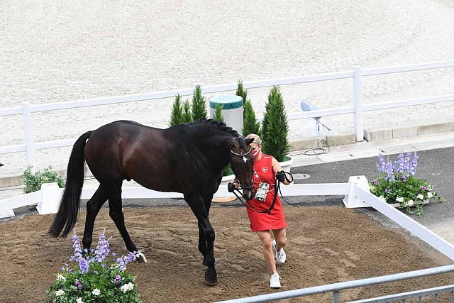 OLY-2020-DRESSAGE-JOG-7-24-21-0877-121-NS MERRALD-ZACK-DEN-DDEROSAPHOTO