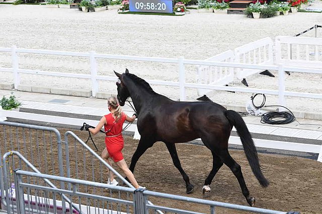 OLY-2020-DRESSAGE-JOG-7-24-21-0879-121-NS MERRALD-ZACK-DEN-DDEROSAPHOTO