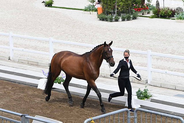 OLY-2020-DRESSAGE-JOG-7-24-21-0882-122-LOSIS DE MUNIZ Y-AQUAMARIJN-DOM-DDEROSAPHOTO