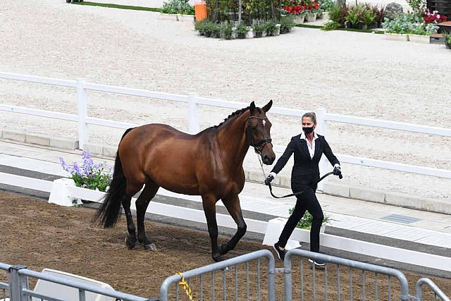 OLY-2020-DRESSAGE-JOG-7-24-21-0883-122-LOSIS DE MUNIZ Y-AQUAMARIJN-DOM-DDEROSAPHOTO