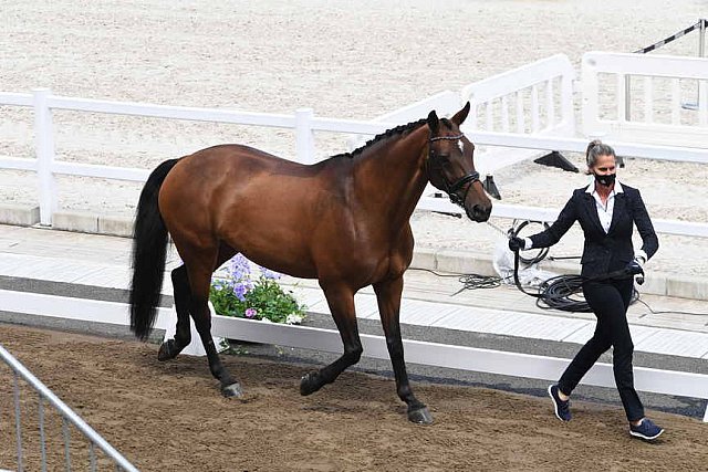 OLY-2020-DRESSAGE-JOG-7-24-21-0884-122-LOSIS DE MUNIZ Y-AQUAMARIJN-DOM-DDEROSAPHOTO