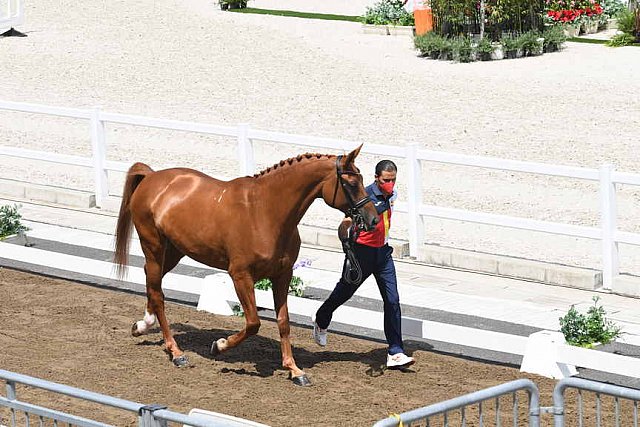 OLY-2020-DRESSAGE-JOG-7-24-21-0893-124-JA GARCIA-MENA-DIVINA ROYAL-ESP-DDEROSAPHOTO