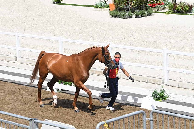 OLY-2020-DRESSAGE-JOG-7-24-21-0894-124-JA GARCIA-MENA-DIVINA ROYAL-ESP-DDEROSAPHOTO