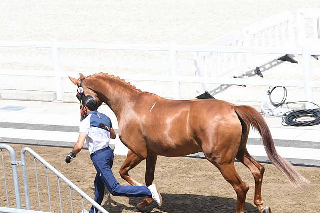 OLY-2020-DRESSAGE-JOG-7-24-21-0899-124-JA GARCIA-MENA-DIVINA ROYAL--ESP-DDEROSAPHOTO