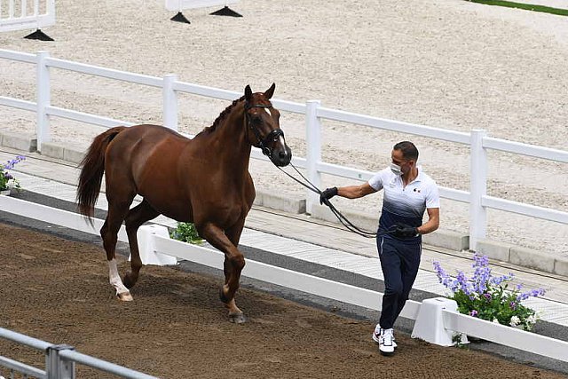 OLY-2020-DRESSAGE-JOG-7-24-21-0946-129-ALEXANDRA AYACHE-ZQ WHAT-FRA-DDEROSAPHOTO