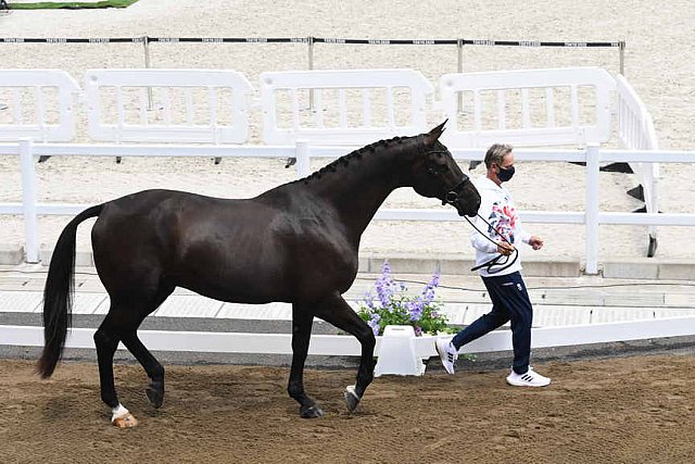 OLY-2020-DRESSAGE-JOG-7-24-21-1002-135-CARL HESTER-EN VOGUE-GBR-DDEROSAPHOTO