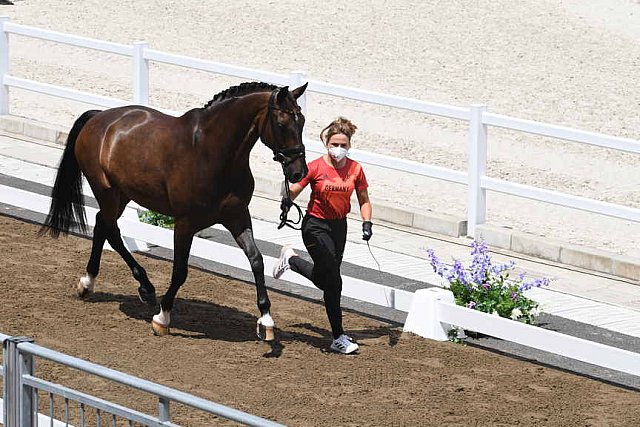 OLY-2020-DRESSAGE-JOG-7-24-21-1028-138-D SCHNEIDER-SHOWTIME FRH-GER-DDEROSAPHOTO