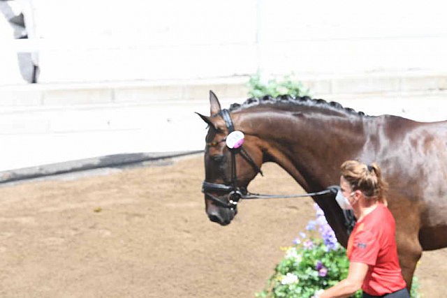 OLY-2020-DRESSAGE-JOG-7-24-21-1031-138-D SCHNEIDER-SHOWTIME FRH-GER-DDEROSAPHOTO