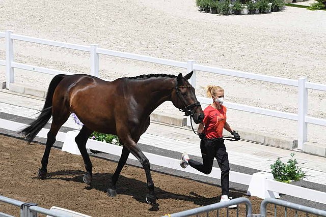 OLY-2020-DRESSAGE-JOG-7-24-21-1037-139-WERNDL-VON BREDOW-TSF DALERA-GER-DDEROSAPHOTO