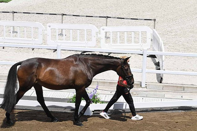 OLY-2020-DRESSAGE-JOG-7-24-21-1038-139-WERNDL-VON BREDOW-TSF DALERA-GER-DDEROSAPHOTO