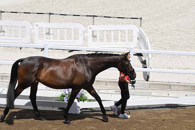 OLY-2020-DRESSAGE-JOG-7-24-21-1039-139-WERNDL-VON BREDOW-TSF DALERA-GER-DDEROSAPHOTO