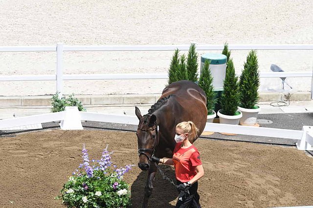 OLY-2020-DRESSAGE-JOG-7-24-21-1040-139-WERNDL-VON BREDOW-TSF DALERA-GER-DDEROSAPHOTO