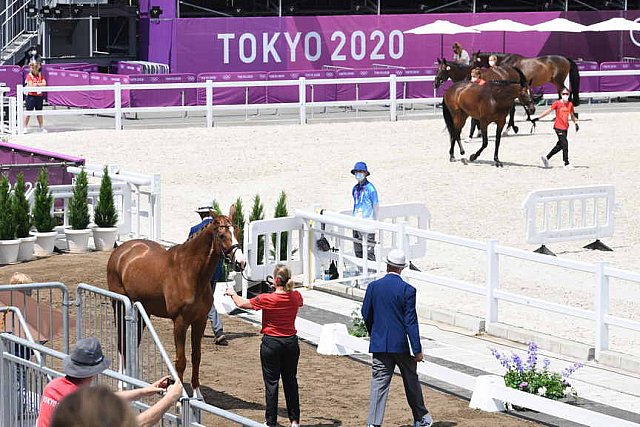 OLY-2020-DRESSAGE-JOG-7-24-21-1045-140-ISABELL WERTH-BELLAROSE 2-GER-DDEROSAPHOTO