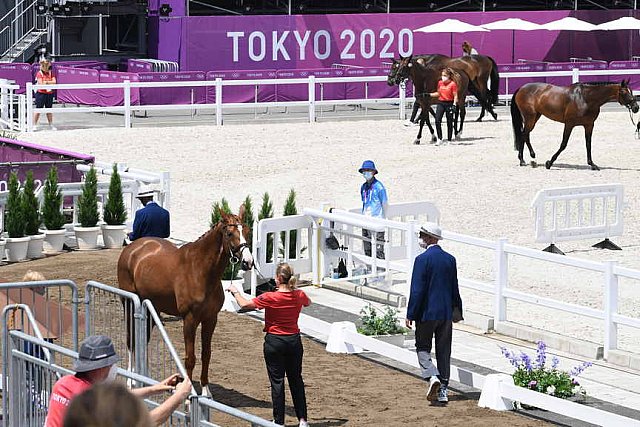 OLY-2020-DRESSAGE-JOG-7-24-21-1046-140-ISABELL WERTH-BELLAROSE 2-GER-DDEROSAPHOTO