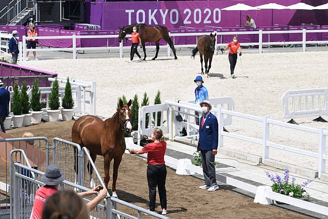 OLY-2020-DRESSAGE-JOG-7-24-21-1047-140-ISABELL WERTH-BELLAROSE 2-GER-DDEROSAPHOTO