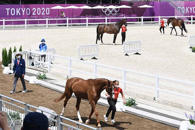 OLY-2020-DRESSAGE-JOG-7-24-21-1050-140-ISABELL WERTH-BELLAROSE 2-GER-DDEROSAPHOTO