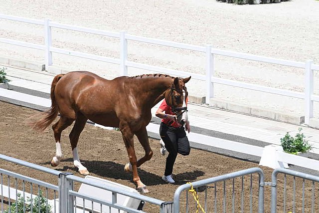 OLY-2020-DRESSAGE-JOG-7-24-21-1054-140-ISABELL WERTH-BELLAROSE 2-GER-DDEROSAPHOTO