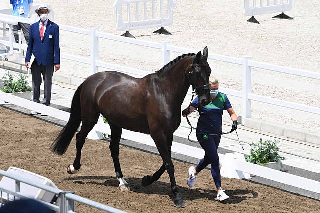 OLY-2020-DRESSAGE-JOG-7-24-21-1061-141-HEIKE HOLSTEIN-SAMBUCA-IRL-DDEROSAPHOTO