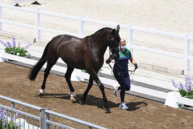 OLY-2020-DRESSAGE-JOG-7-24-21-1062-141-HEIKE HOLSTEIN-SAMBUCA-IRL-DDEROSAPHOTO