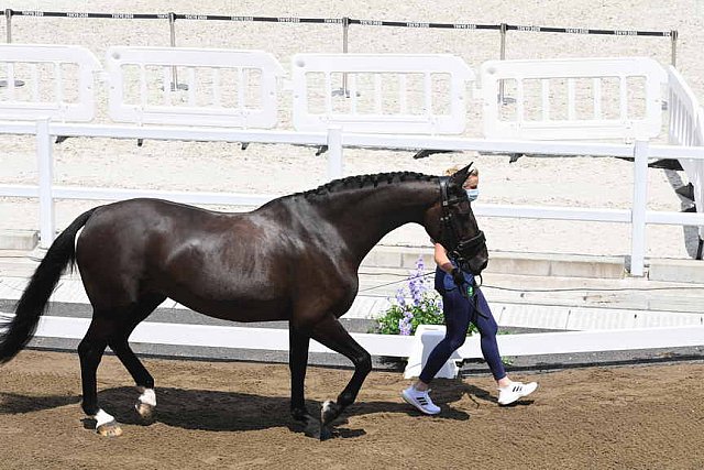 OLY-2020-DRESSAGE-JOG-7-24-21-1065-141-HEIKE HOLSTEIN-SAMBUCA-IRL-DDEROSAPHOTO