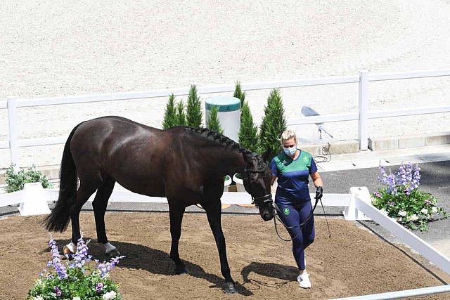 OLY-2020-DRESSAGE-JOG-7-24-21-1066-141-HEIKE HOLSTEIN-SAMBUCA-IRL-DDEROSAPHOTO