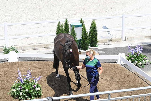 OLY-2020-DRESSAGE-JOG-7-24-21-1067-141-HEIKE HOLSTEIN-SAMBUCA-IRL-DDEROSAPHOTO