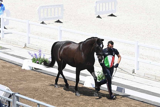 OLY-2020-DRESSAGE-JOG-7-24-21-1073-142-FRANCESCO ZAZA-WISPERING ROMANCE-ITA-DDEROSAPHOTO