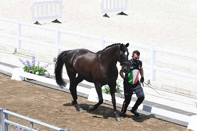 OLY-2020-DRESSAGE-JOG-7-24-21-1074-142-FRANCESCO ZAZA-WISPERING ROMANCE-ITA-DDEROSAPHOTO