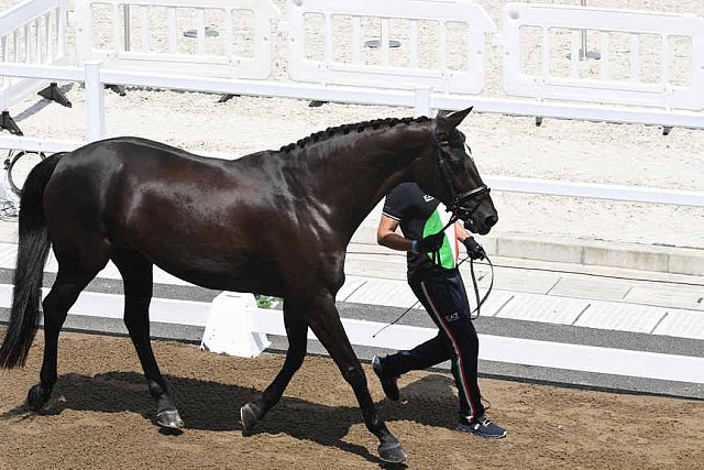 OLY-2020-DRESSAGE-JOG-7-24-21-1075-142-FRANCESCO ZAZA-WISPERING ROMANCE-ITA-DDEROSAPHOTO