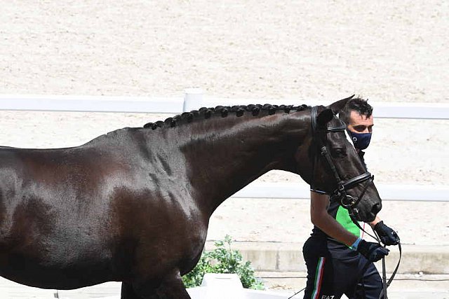 OLY-2020-DRESSAGE-JOG-7-24-21-1077-142-FRANCESCO ZAZA-WISPERING ROMANCE-ITA-DDEROSAPHOTO