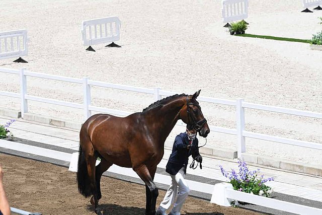 OLY-2020-DRESSAGE-JOG-7-24-21-1080-143-SHINGO HAYASHI-SCOLARI 4-JPN-DDEROSAPHOTO